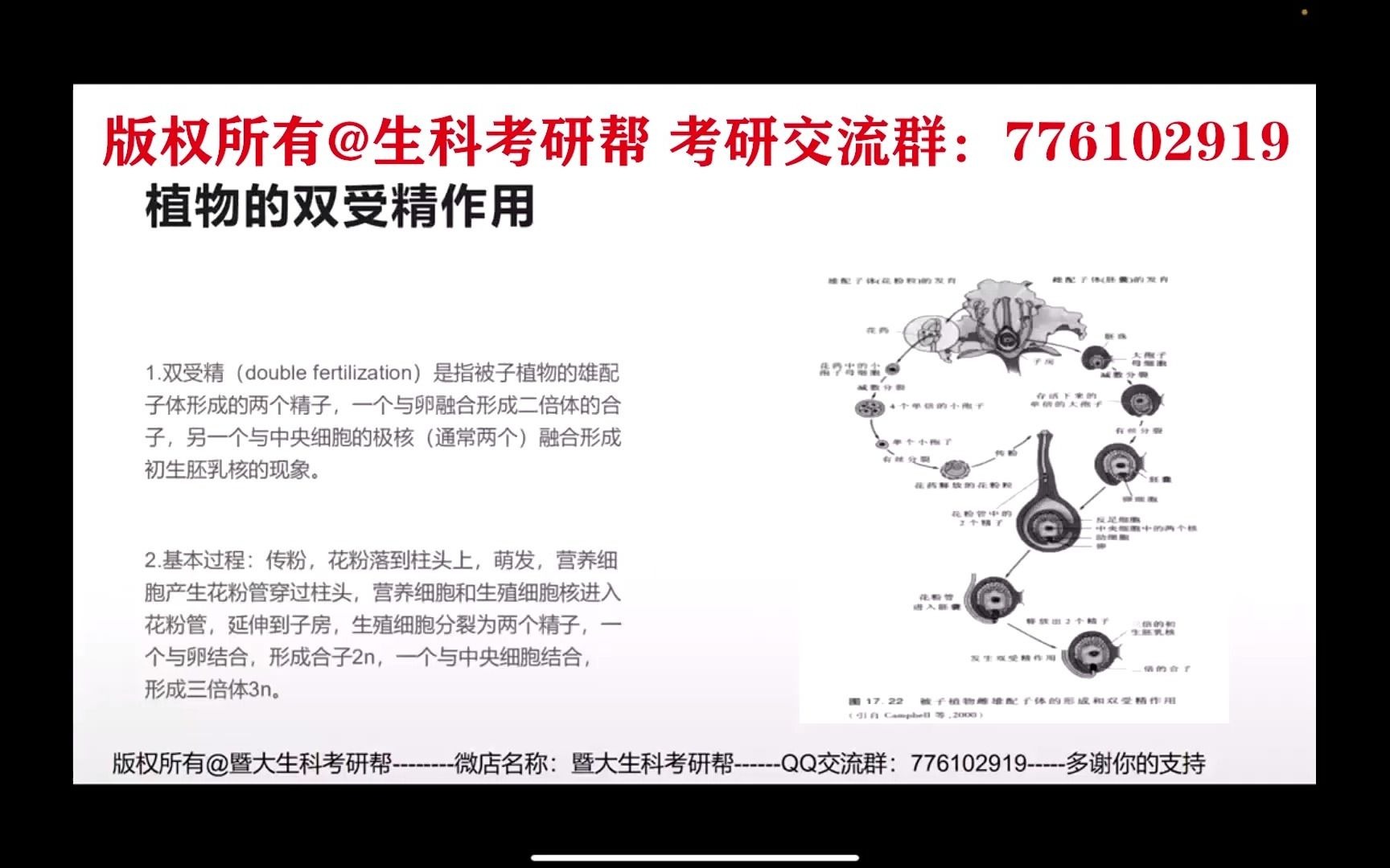 【普通生物学】/植物的双受精作用/重点知识点哔哩哔哩bilibili