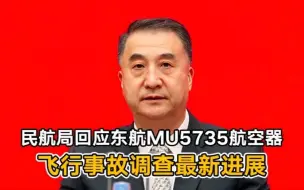 Download Video: 民航局回应东航MU5735航空器飞行事故调查最新进展