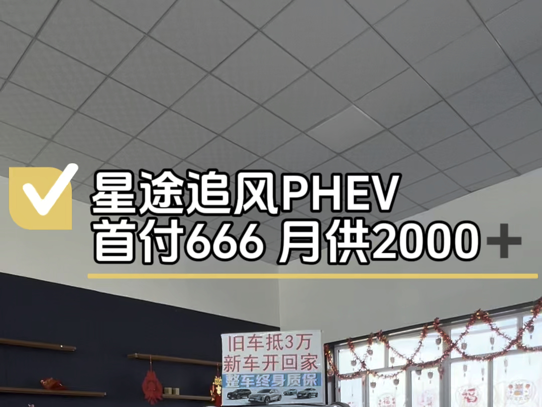 星途追风PHEV首付666 月供2000➕整车终身质保哔哩哔哩bilibili