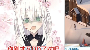 Hololive白上吹雪ssr闪卡 哔哩哔哩 つロ干杯 Bilibili