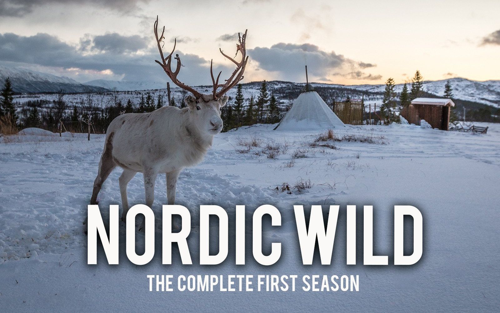 [图]北欧野生风情录 Nordic Wild