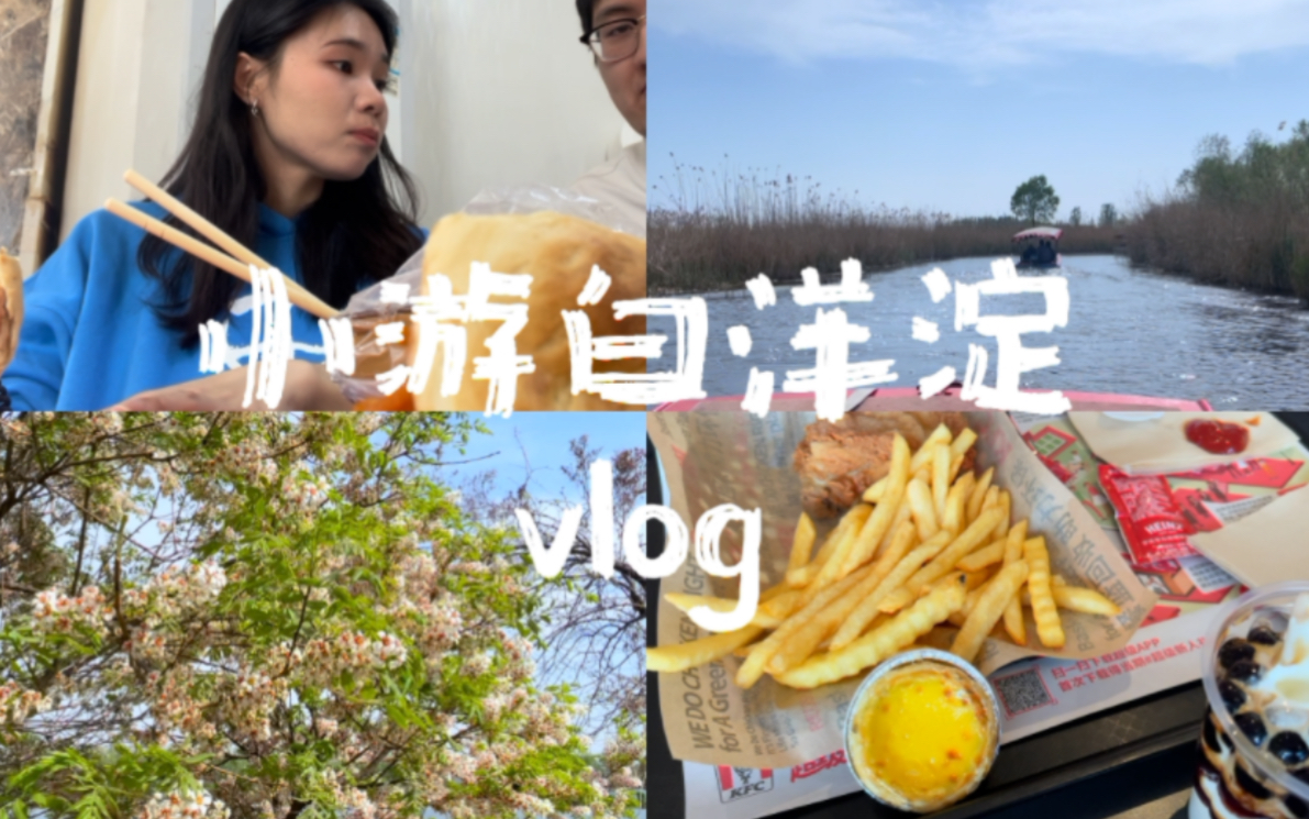 【旅游 vlog#1 –白洋淀】周末短途小游|一起来看看白洋淀怎么样哔哩哔哩bilibili