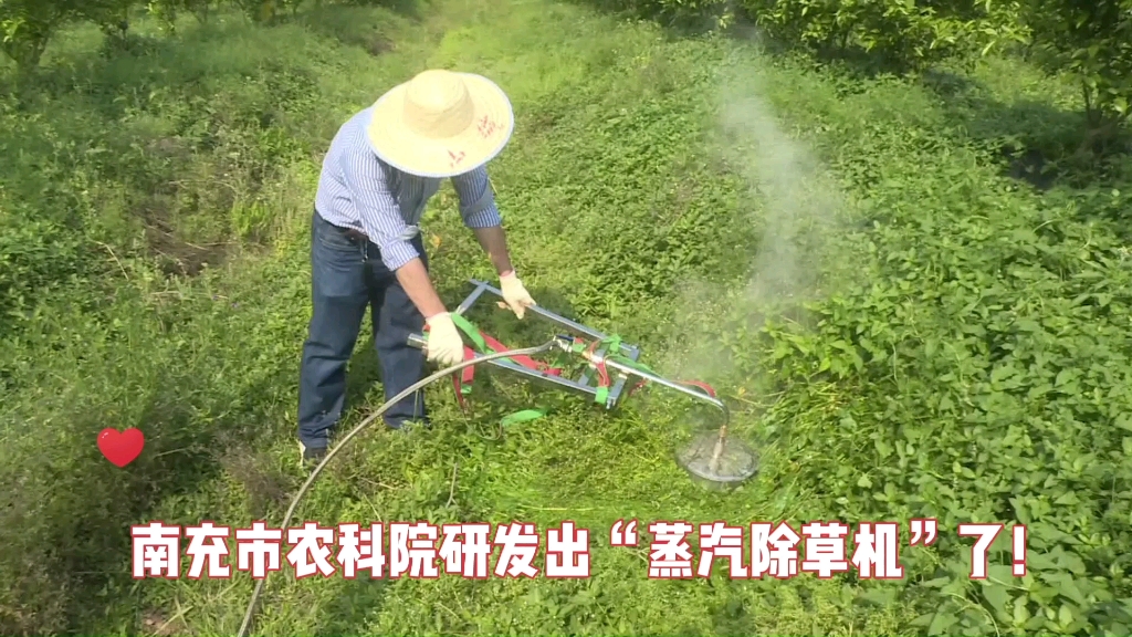 南充市农科院研发出蒸汽除草机了