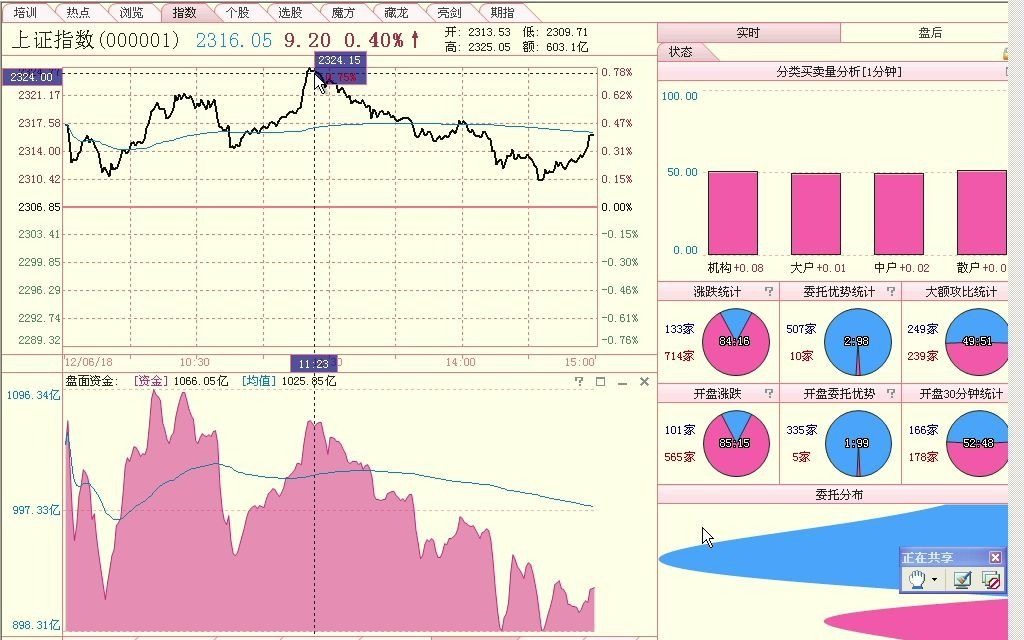 《软件基础课程 Ⅰ》6. 大盘指标和单向及双向中线指数盈利模式刘洪明哔哩哔哩bilibili