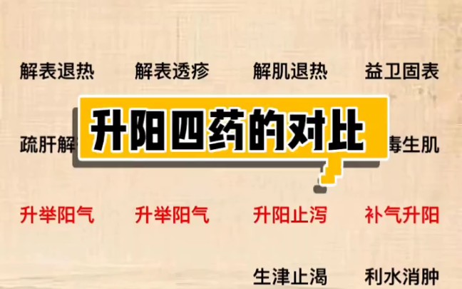 药组:升阳四药的对比~~柴胡葛根升麻黄芪对比~【书恒本草缘】(医学科普,仅供参考~)哔哩哔哩bilibili