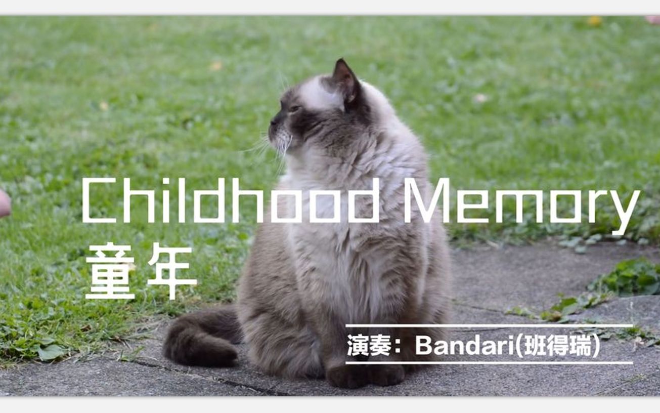 [图]经典音乐-童年Childhood Memory