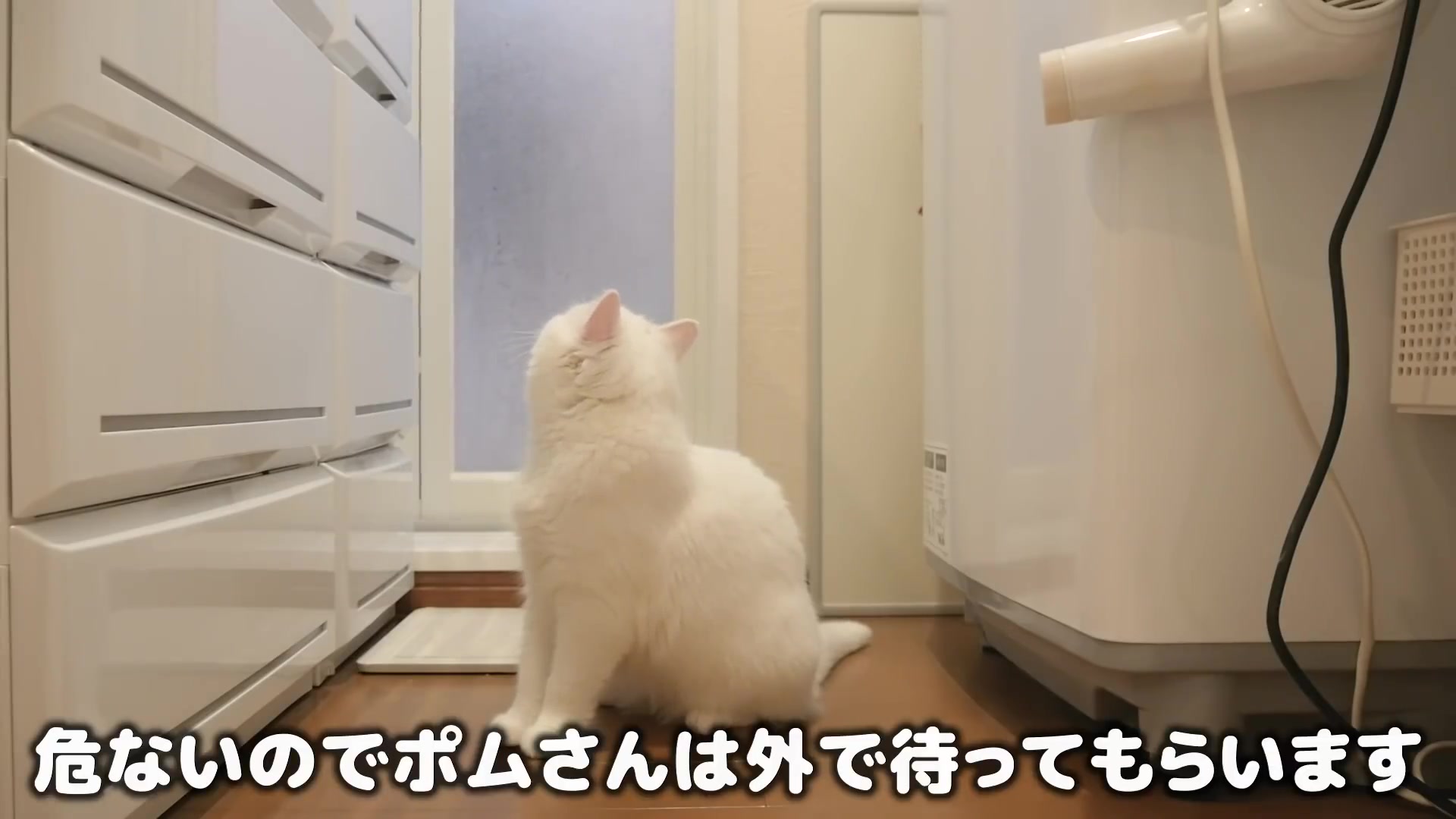 観覧 注意 Youtube 最高のイラストと図面