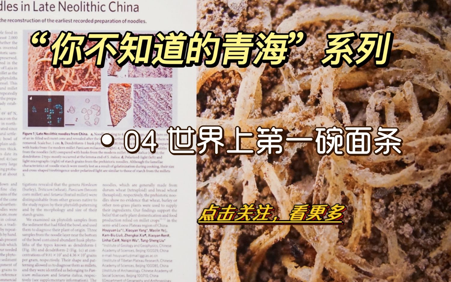 “你不知道的青海”系列 - 04 面条是谁先发明的？青海喇家遗址出土的一碗4000年前的面条，将面条的发明时间提前了2000多年！