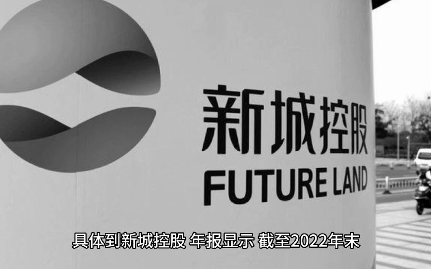 新城控股管有冬:吾悦广场可以进一步的提升新城融资资源哔哩哔哩bilibili