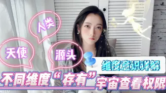 【维度意识】不同维度“存有”的视角！查看权限！宇宙的意识各维度畅想！