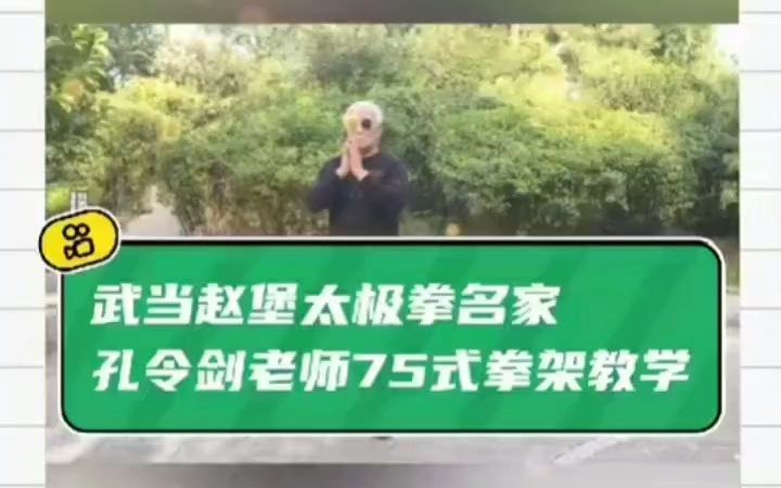 太极名家孔令剑老师75式太极拳教学示范哔哩哔哩bilibili