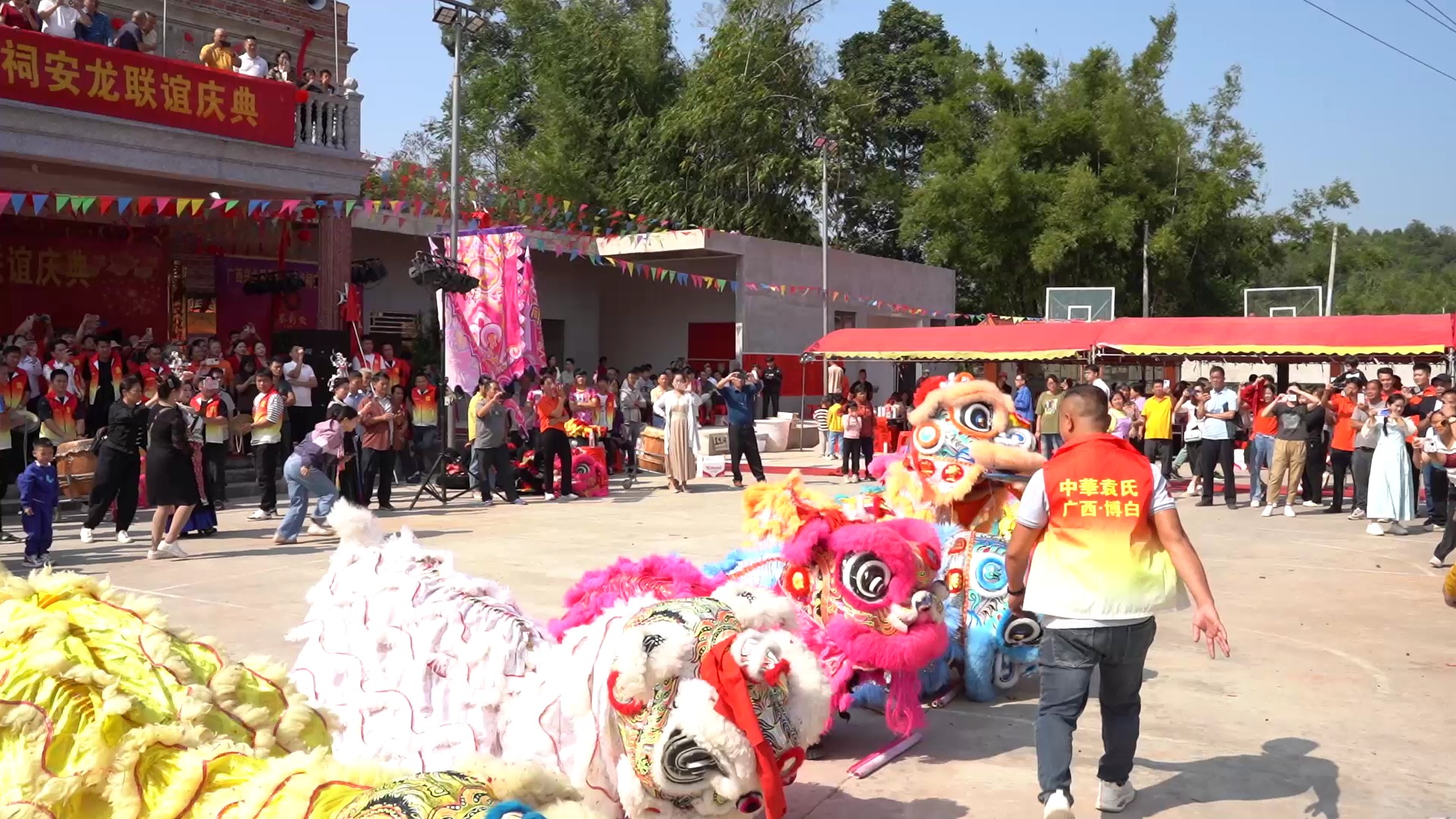 兴业县罗平塘袁氏祖祠安龙庆典寻根问源,流芳千古.哔哩哔哩bilibili