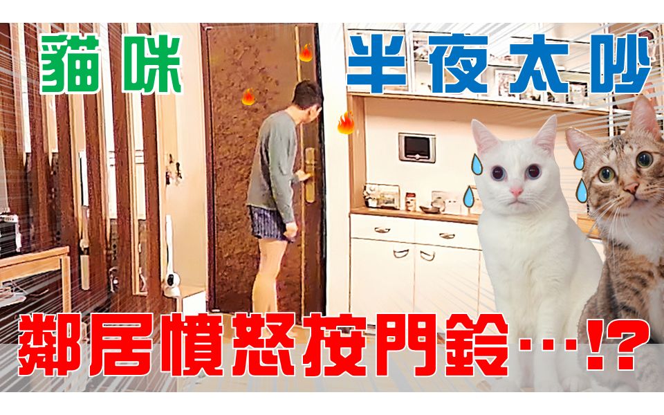 【豆浆  SoybeanMilk】猫咪半夜太嗨,邻居愤怒按门铃了...!?哔哩哔哩bilibili