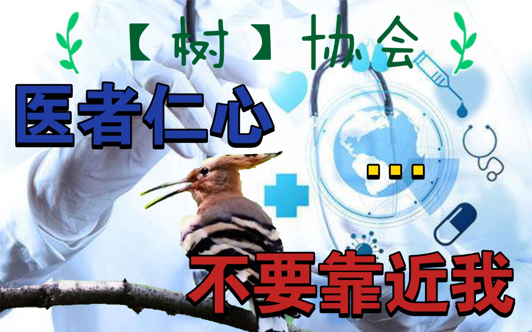 【规则类怪谈—【树】协会—【啄木鸟】医疗执行组】来医生给他整个活!哔哩哔哩bilibili