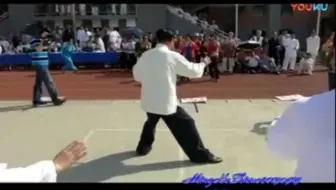 赵幼斌杨式太极拳基本功 哔哩哔哩 Bilibili