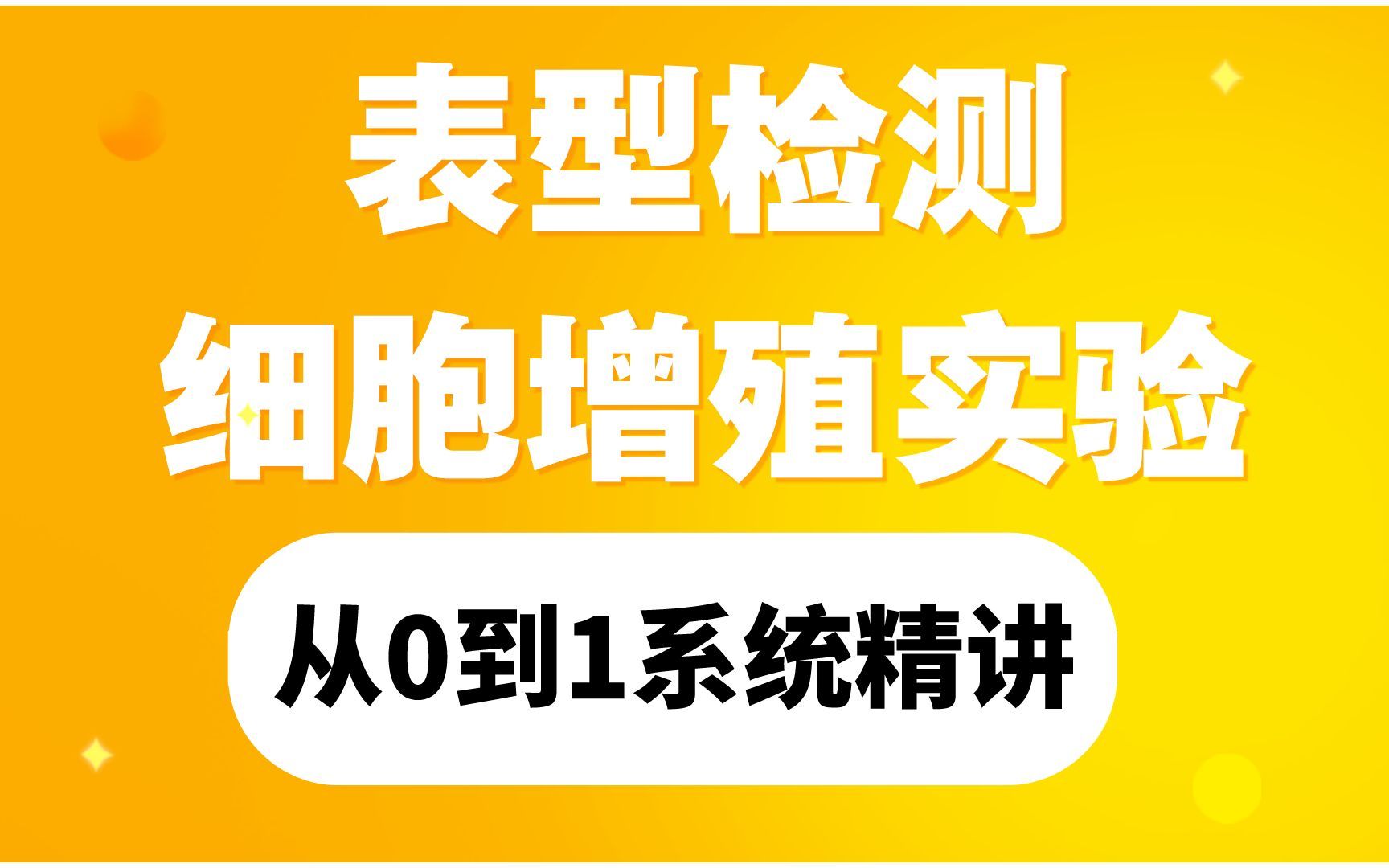 细胞表型实验|细胞增殖|细胞迁移|细胞侵袭|细胞调亡和周期|MTT|CCK8哔哩哔哩bilibili