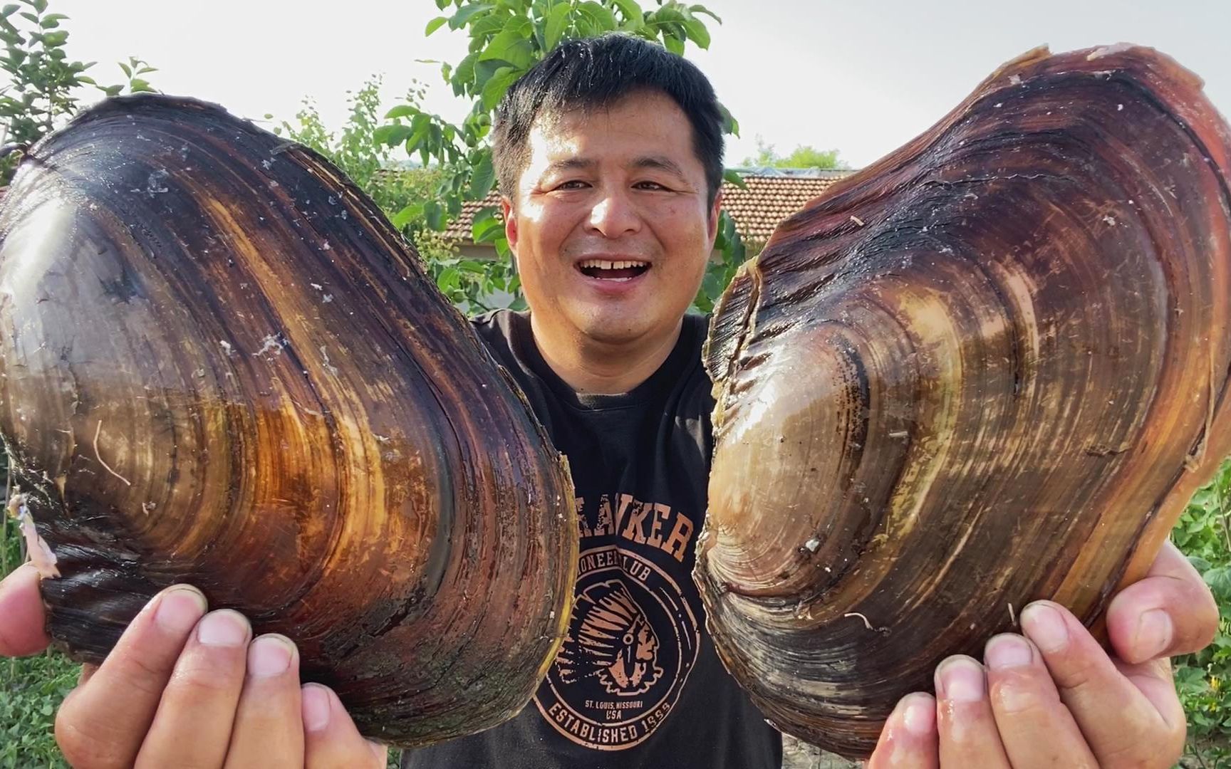 世界上最大的海蚌图片