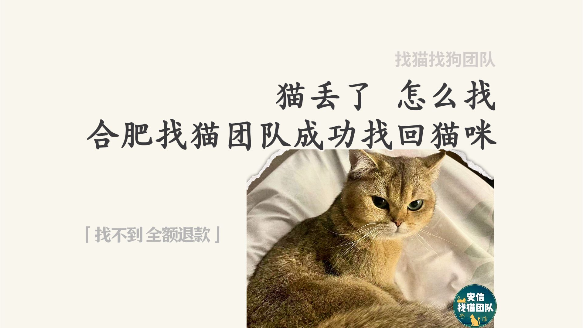 合肥寻猫团队 找不到全额退款 专业找猫找狗团队 合肥找猫团队 猫咪丢了 合肥找猫找狗团队 猫丢了怎么办 合肥寻猫团队 猫跑丢了 找猫团队 寻猫团队 专业找...