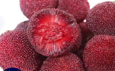 【优惠券】台州杨梅 新鲜仙居东魁杨梅3-6斤礼盒装当天现摘场地直发大