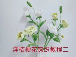 下载视频: 洋桔梗花钩织教程二：大花朵部分钩织，洋桔梗花语：真诚不变的爱，纯洁，无邪，感动，富有感情