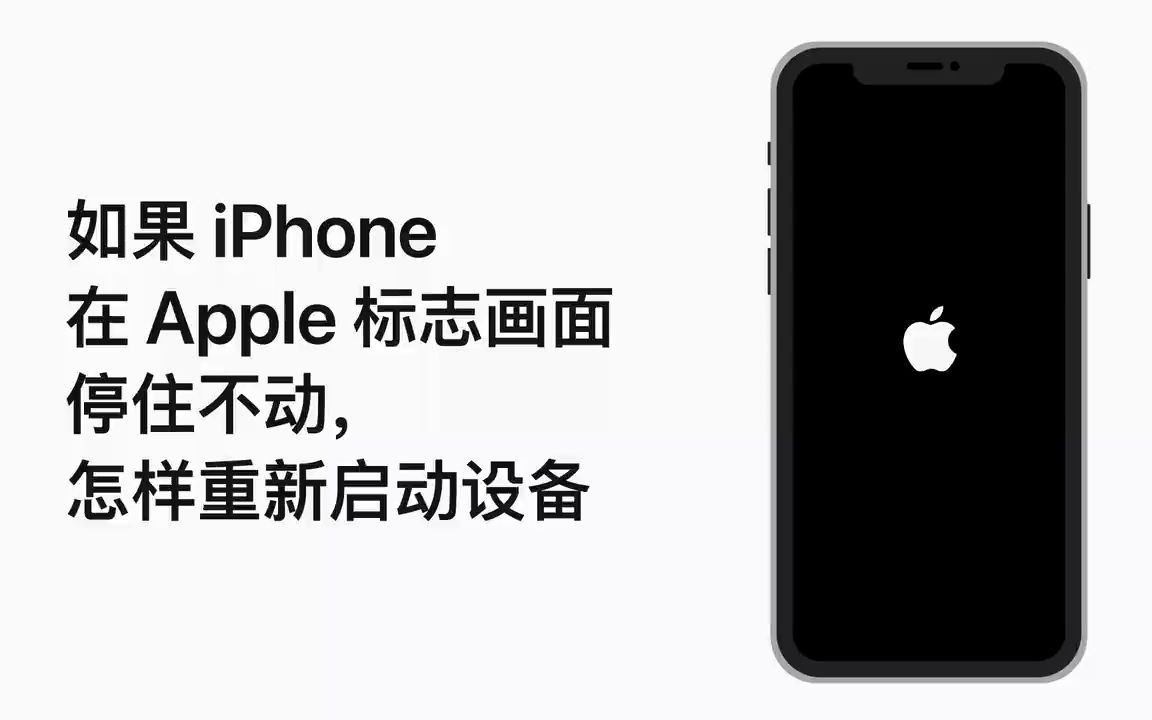 如果 iPhone 在 Apple 标志画面停住不动,怎样重新启动设备——Apple哔哩哔哩bilibili