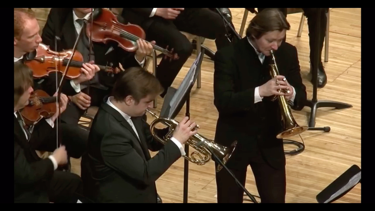 【纳卡里亚科夫;索尔达托夫】富鲁格号;韦瓦第g小调双大提琴协奏曲