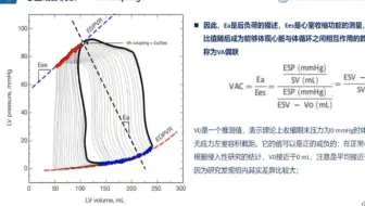 心室动脉偶联-理解或许有帮助-来源于caica