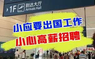 Tải video: 小应的高薪新工作，是馅饼还是陷阱？