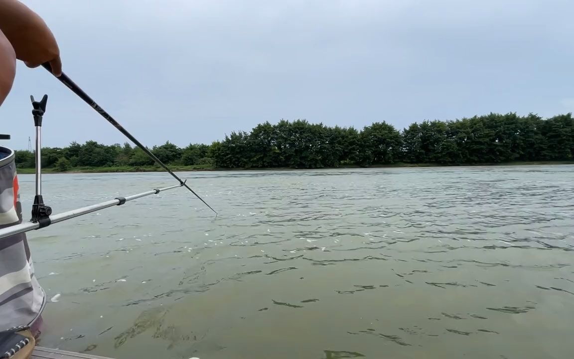 纯野钓:在急流与缓流的交界处钓青尾,收获满满一大箱哔哩哔哩bilibili