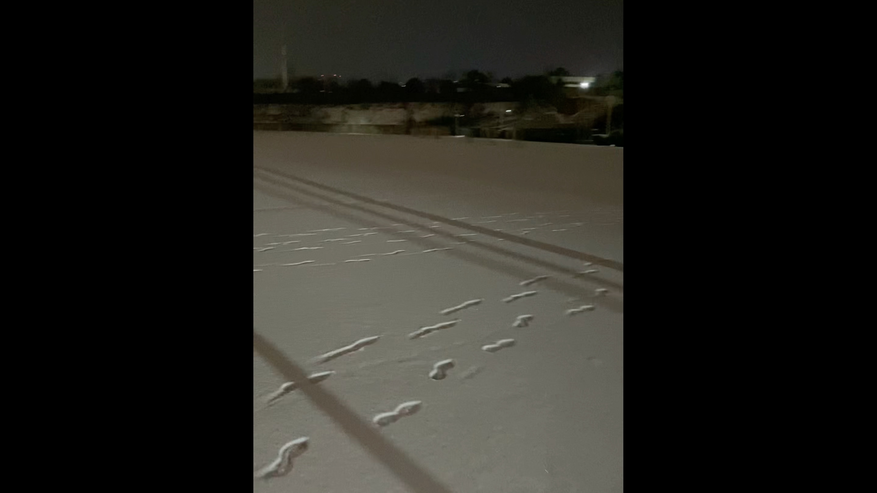 2024年2月1日平顶山市一中,一中雪景.毕业20年再见!祝福啦我的一中!拍不出的美好回忆!哔哩哔哩bilibili