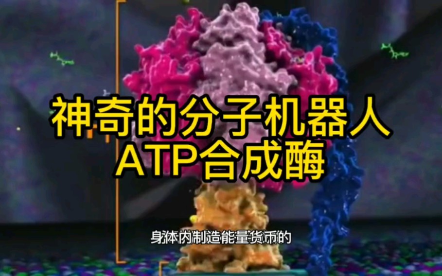 神奇的分子机器人ATP合成酶哔哩哔哩bilibili