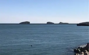 Скачать видео: 秋之情、海之恋......大连高新区凌水湾海岸公园风景（秋高气爽、晴空万里、碧海蓝天、一望无际、蔚蓝海岸）