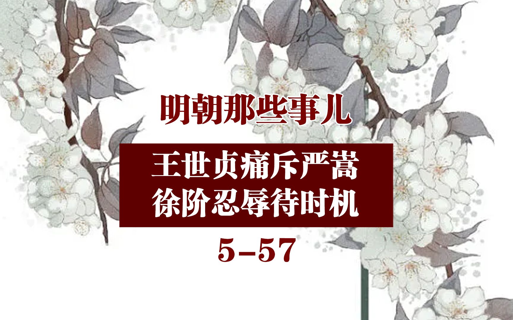 王世贞痛斥严嵩,徐阶忍辱待时机_哔哩哔哩_bilibili