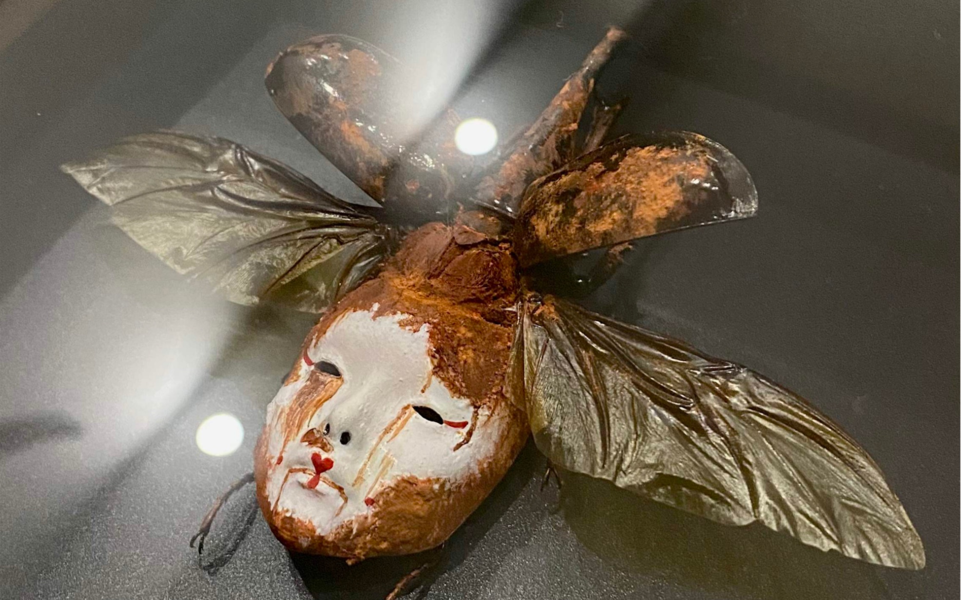 夏日猎奇怪诞昆虫标本收藏品b版