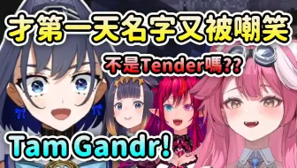 EN Reco第二章才第一天Tam Gandr又被众人戏弄嘲笑名字了ww 【Kronii IRyS Raora Ina】【Hololive 中文】