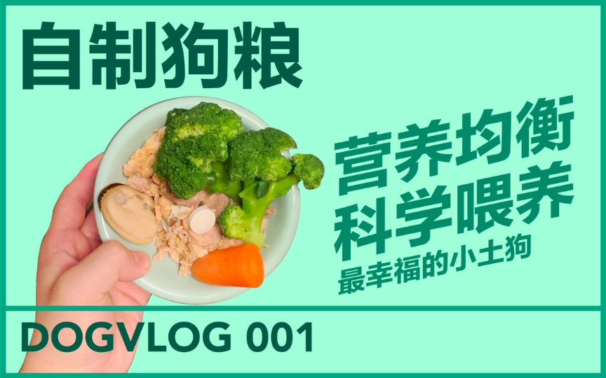 Dogvlog001自制狗粮,最幸福的小土狗每天都吃什么?哔哩哔哩bilibili