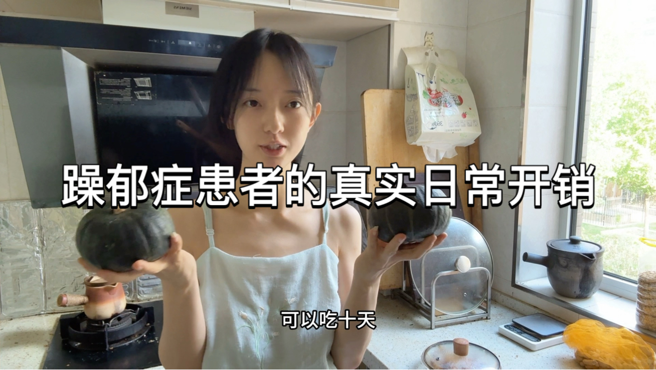 双相辞职后0收入的我是如何生存的？海报
