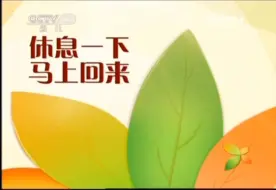 Descargar video: 【广播电视】CCTV-14《儿童剧》中场广告（20130209）