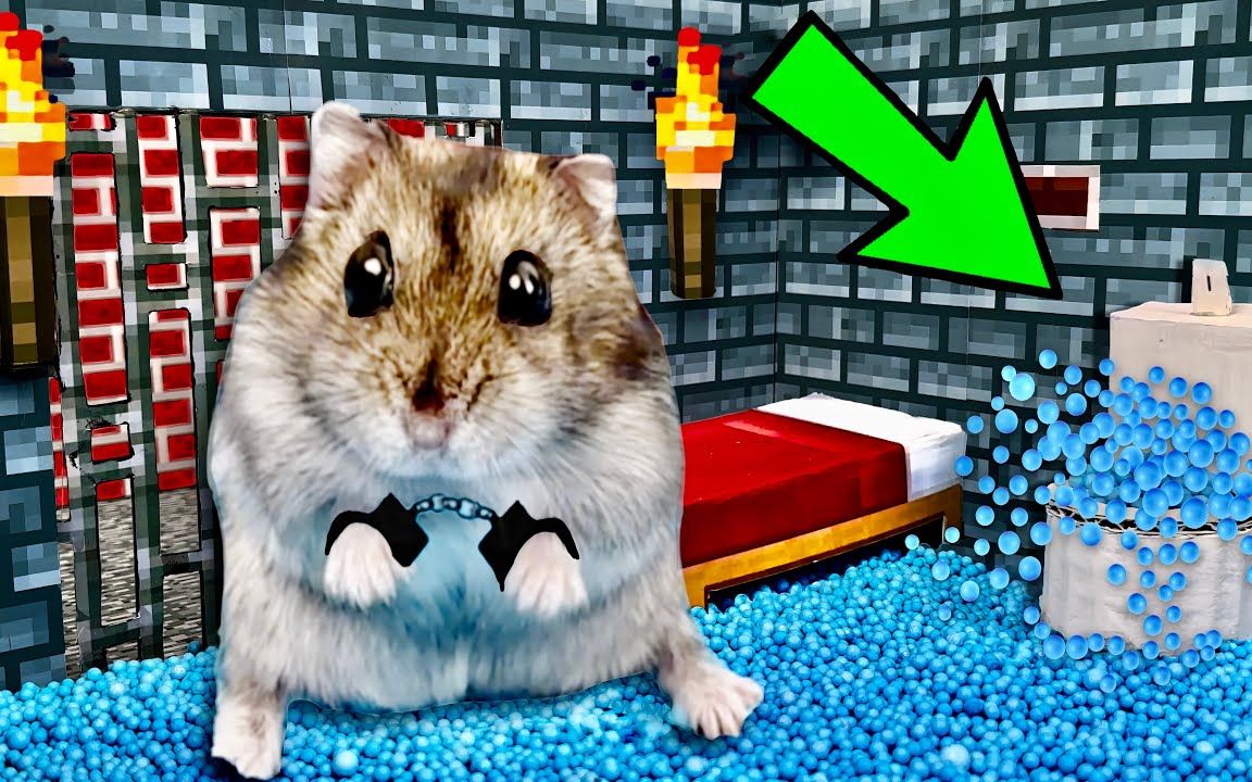 仓鼠走迷宫:仓鼠逃出我的世界迷宫陷阱,最后和伙伴们海边度假!