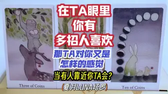 Download Video: 在ta眼中你有多少人喜欢？那ta对你又是怎样的感觉呢？当有人靠近你时他会如何？timeless