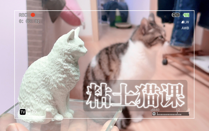 上课就是玩粘土之——捏狸花猫!(上