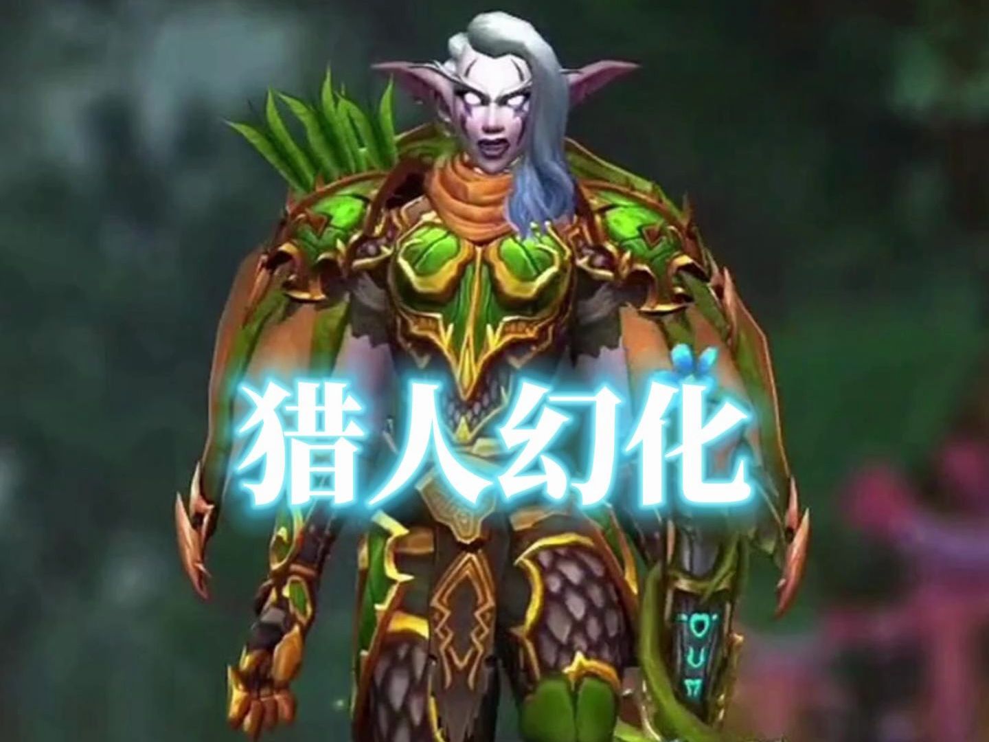 今日魔兽世界猎人幻化装备出处调料包分享