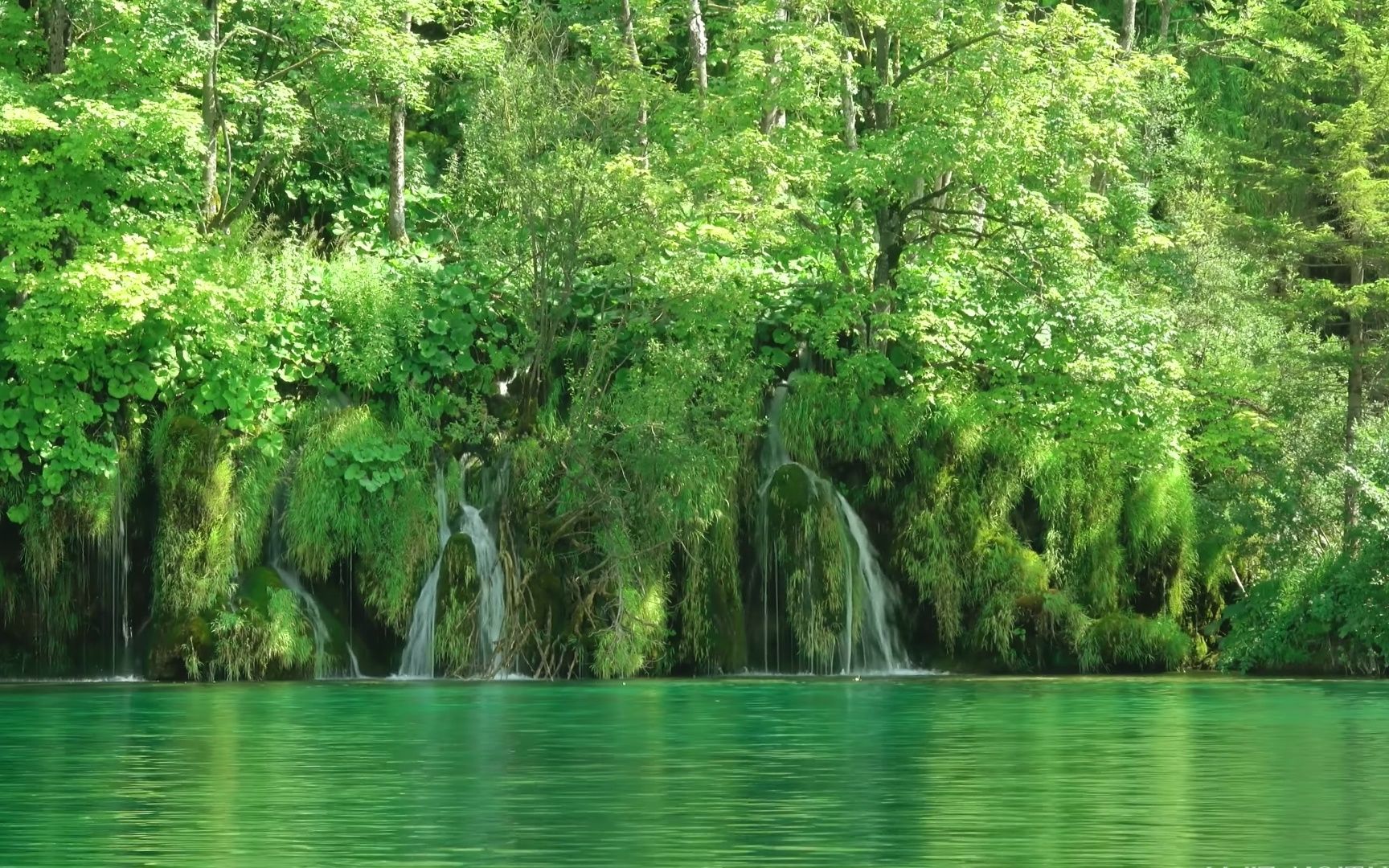 4k60p 唯美治愈风景 大自然的味道