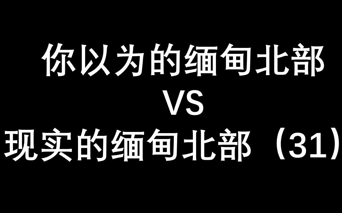 这里是缅甸北部(31)一个川普都惹不起的地方哔哩哔哩bilibili