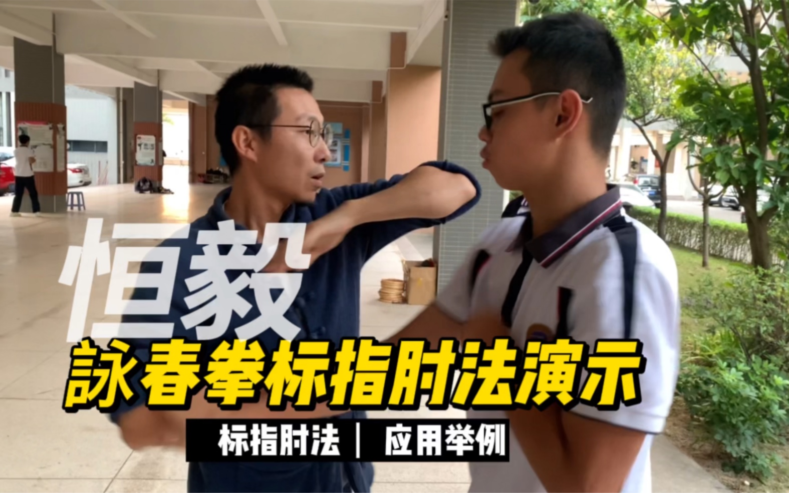 咏春拳标指肘法演示