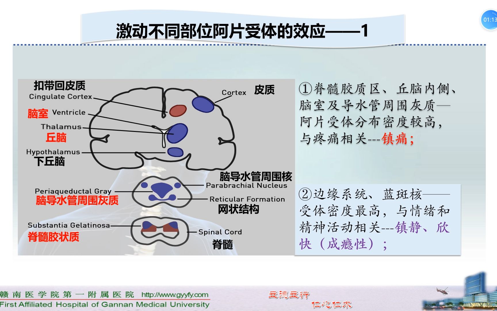 阿片类药物的简介哔哩哔哩bilibili