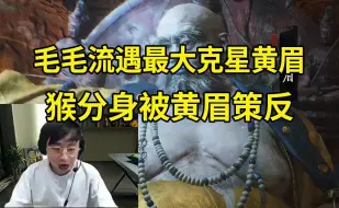 Download Video: 水晶哥毛毛流AP猴遇黄眉差点退役，K神被猴分身打死当场傻眼：我的猴子打我干嘛呢？