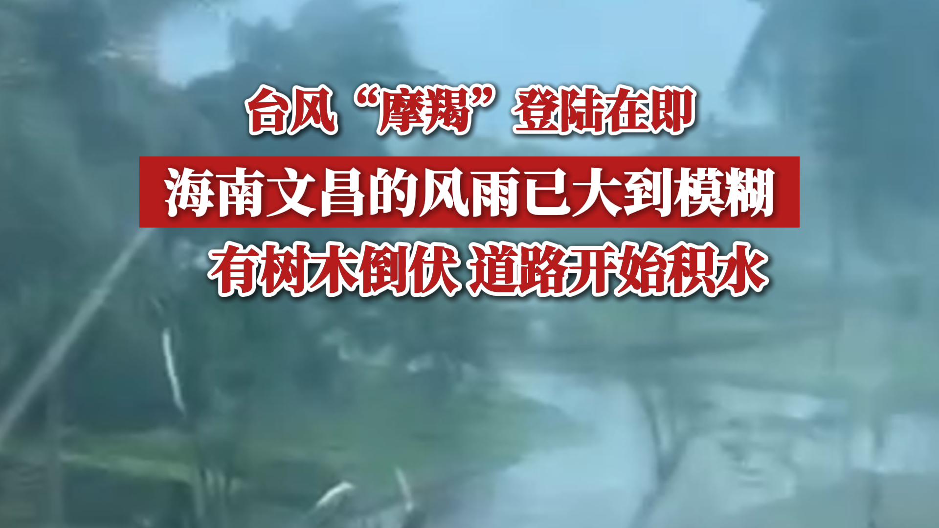 海南文昌的风雨已大到模糊,有树木倒伏 道路开始积水哔哩哔哩bilibili