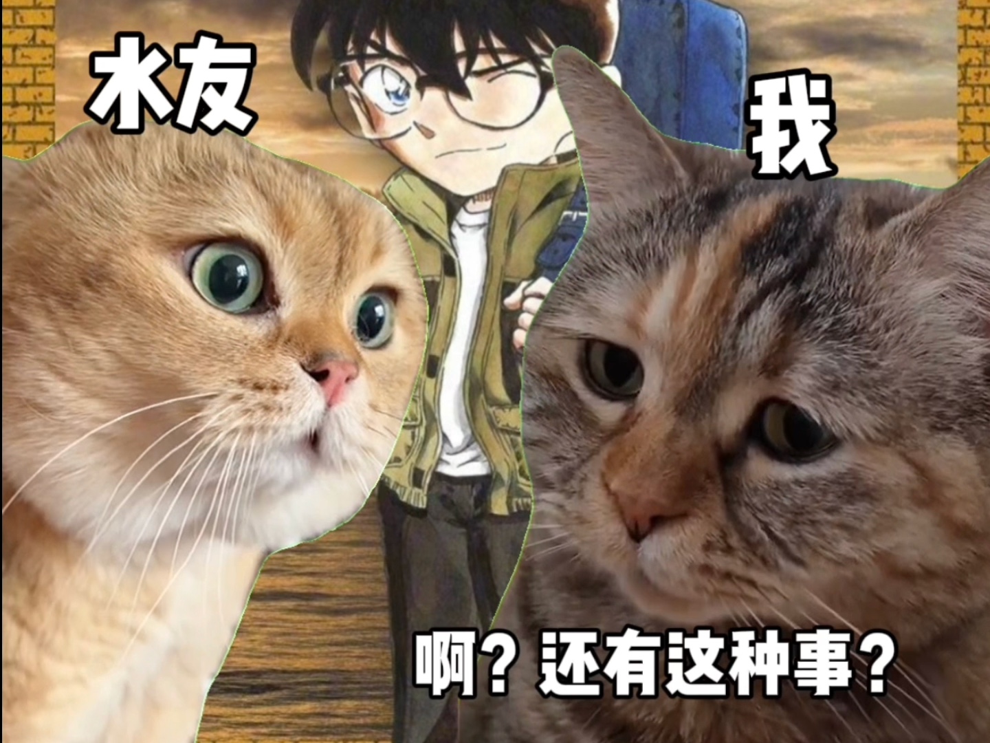 [图]【猫meme】从柯南M25的彩蛋开始到M26再到M27我的心路历程