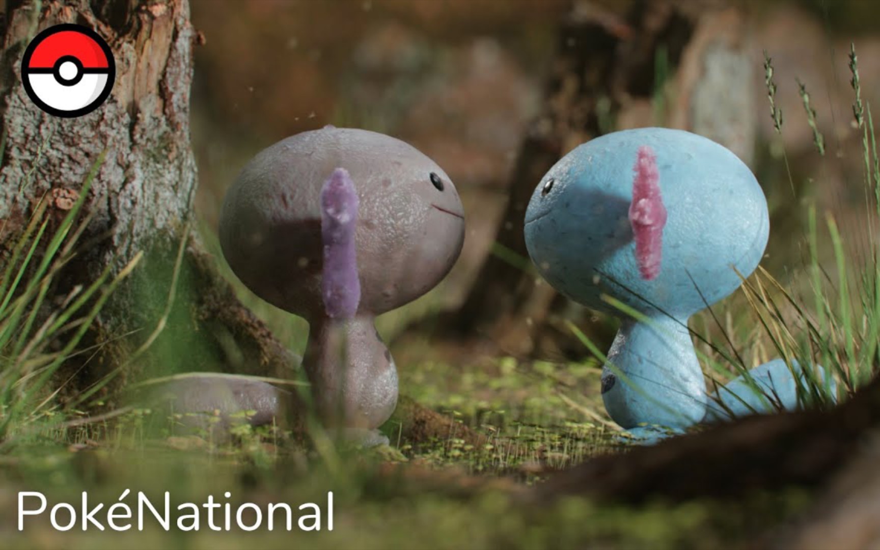 【pokénational geographic宝可梦国家地理频道】乌波的演变|the